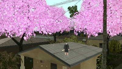 Sakura tree